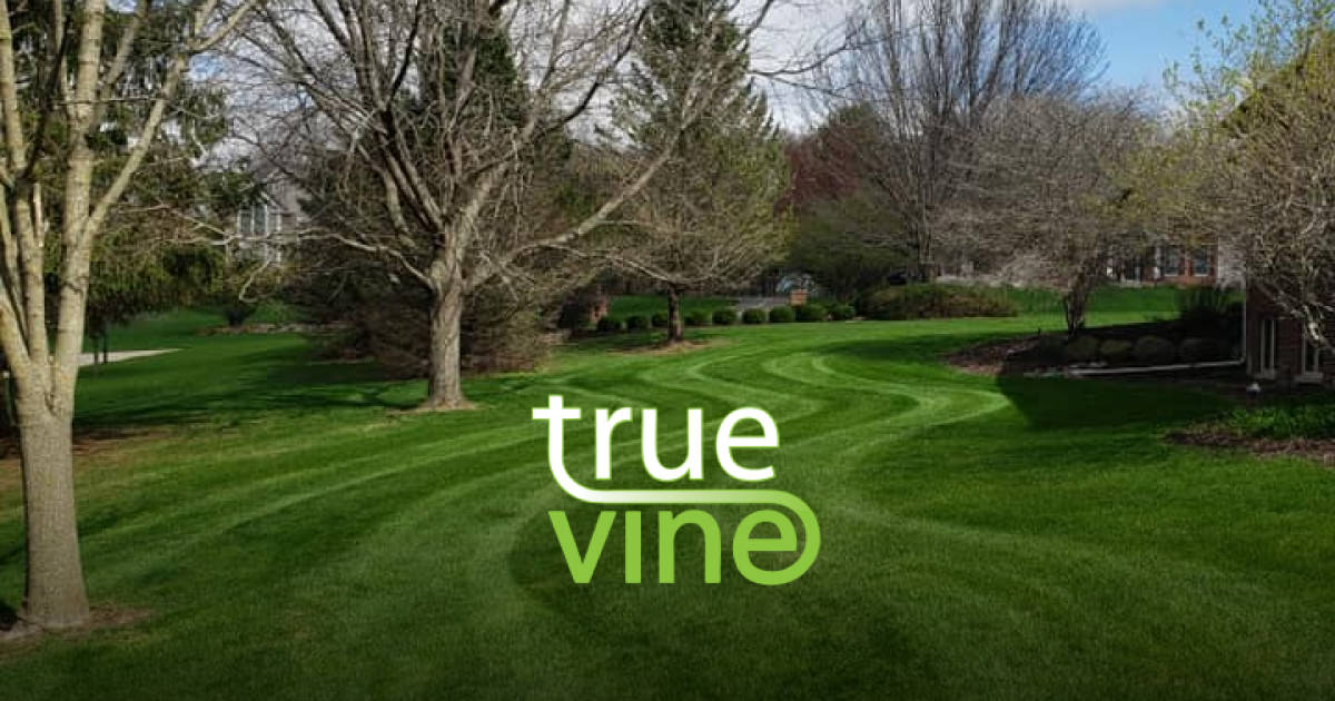 True Vine Landscaping and Lawn Care | Lena, Illinois